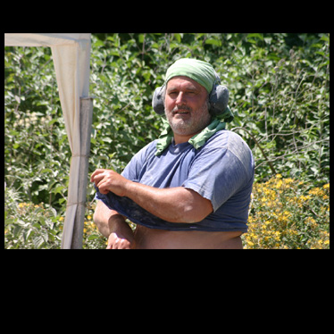 boszormenyi istvan 2 ff