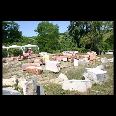 kotombok a faragoszinten