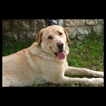 miksa bercis sztorihoz